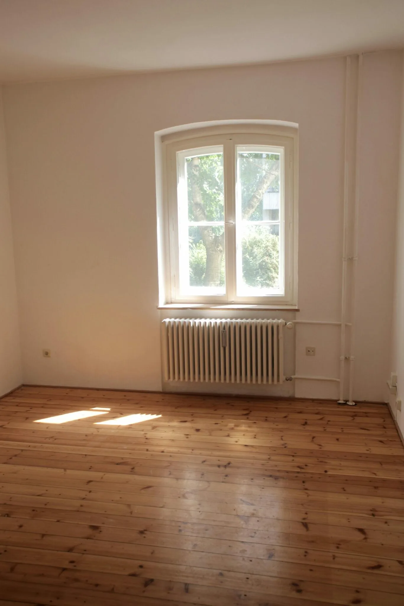 Promal vandskuringsmaling, 10L - Billede 4